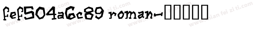 FEF504A6C89 Roman字体转换